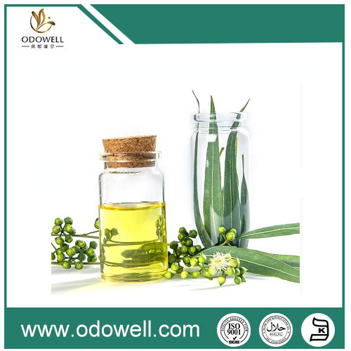 Eucalyptus Oil