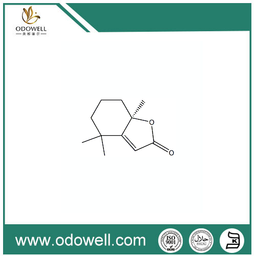 Dihydroactindiolide